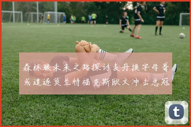森林狼未来之路探讨麦丹换字母哥或追逐莫兰特福克斯欧文冲击总冠军